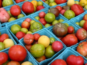 UC Davis Study on Organic Tomatoes UC Davis Study on Organic Tomatoes