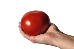 offer-tomato.jpg