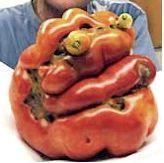 Tomato With a Human Face