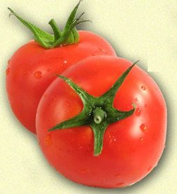 Tasti-Lee