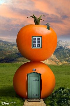 Tomato House