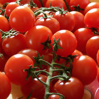 Pachino Tomatoes: The Pride of Sicily Pachino Tomatoes: The Pride of Sicily
