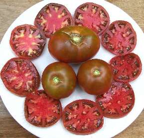 Tomato Black Prince