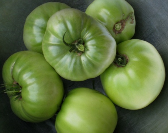 green-tomato-chutney-001