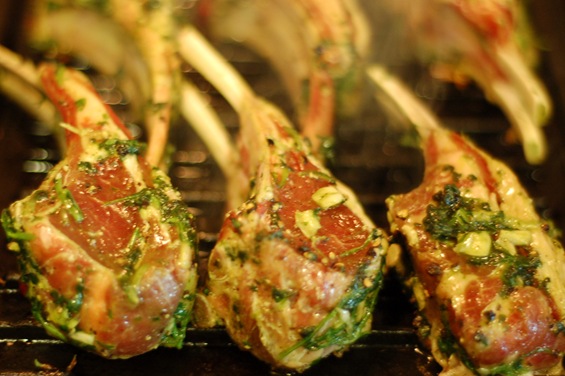 Recipes for grilled lamb chops