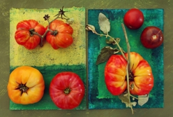 Heirloom Tomatos in 2 Minutes - TomatoCasual.com