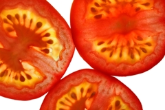 How to Save the Tomato Seeds from Your Favorite Tomatoes - TomatoCasual.com