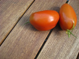 roma-tomato.JPG