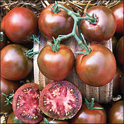 black-tomato