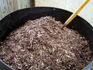 Photo Credit: Compost! by Lisa B. used under CC BY-NC-SA 2.0
